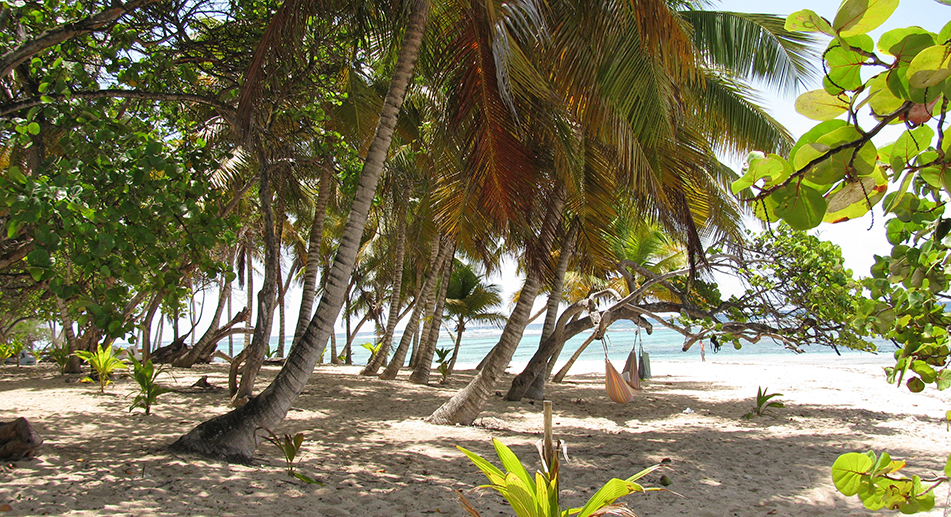 Marie-Galante, i Caraibi rurali con 15 spiagge da sogno