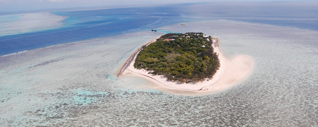 Heron Island, isola da sogno sulla Grande Barriera Corallina