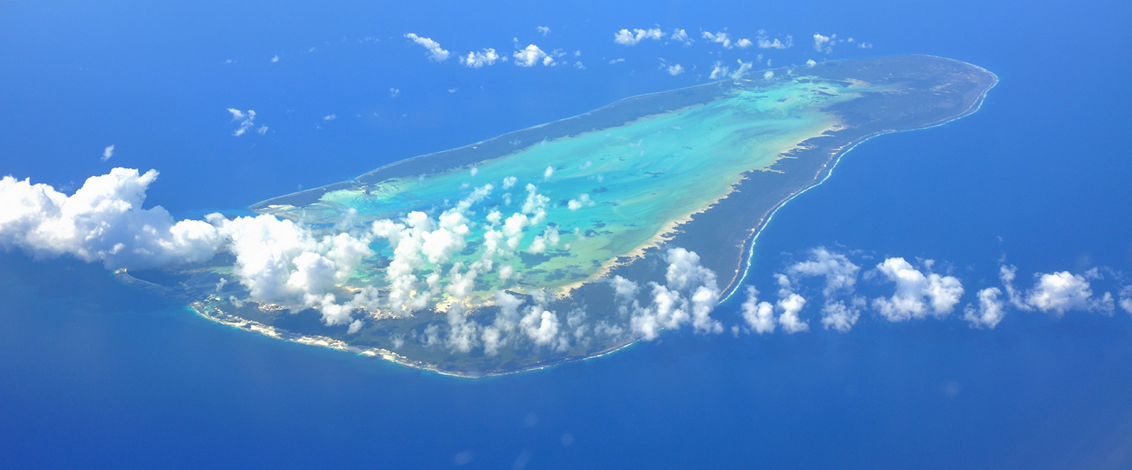 La laguna di Aldabra, casa delle tartarughe giganti