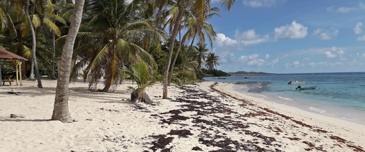 La Désirade, l’isola da sogno degli “indesiderabili”